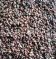 Expanded Shale Pellet