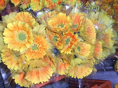 �ҹ�˾���ڵķ��޾�