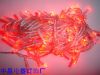 LED�ƴ���10��100��