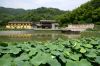香域禅尽