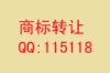 一手标转让资料