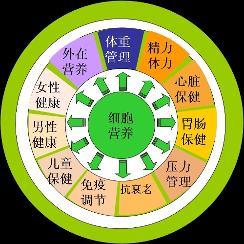 康宝莱独特的细胞营养技术!