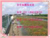  ��з��ĵ��� ��з��һ�㶬������Ͷ�������ʱ�䡣 ��ѧ 13862478720 QQ:7680990   