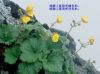 ��л�ϲ�����ӵ�еģ�
��л�ϲ������]�еġ�