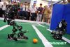 10��13�գ�����������ѧ�Ļ����������ڻ�չ���ı���������