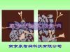 JH-平板音响、背景音乐、家庭影院、家华音响制造