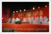 精彩的演出
