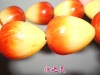 �ٺ�ѩɼ