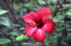 ϸ΢֮������������