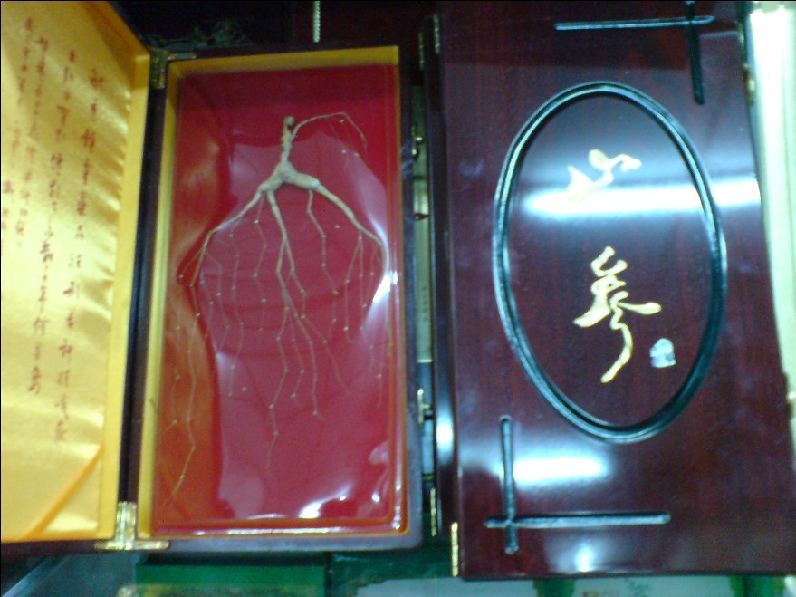 买人参,别花冤枉钱 估年限看体形定品相称重量