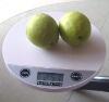 ��Ʒ ������5KG/1G  �ͼ۸��������ۺ����֤��ŵ