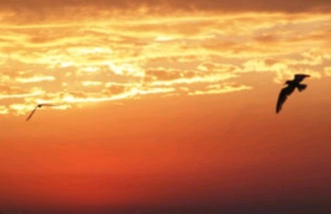 我与客户的一次交流沟通后的感想_靖凡昆仑