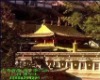 �ຣ������-����һ��