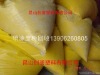 ��ĩͿ�����ܷ�רҵ���� �绰��13906260805 ������ ��ɽ����