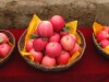 aaa5212762