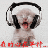 haiyunh01�Ĳ���
