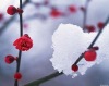 hanmeimei2009�Ĳ���