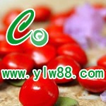 ��Աͷ��