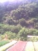 ��Ҳ�ҩ