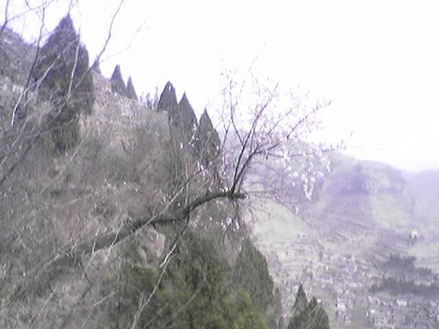 ��Աͷ��