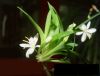wgd18�Ĳ���