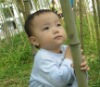 wjhuisheng�Ĳ���