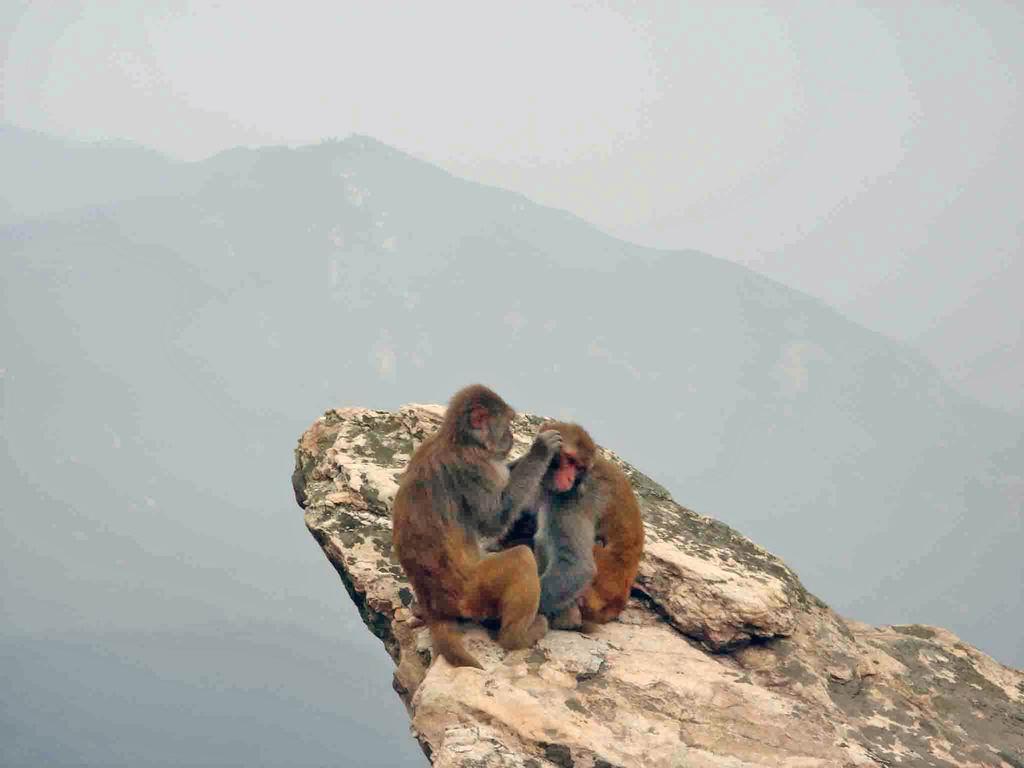 连云港花果山风景区