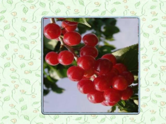 ��ƽ��ǽ�ڿ�����ǽ�ڿ��ص���������й���