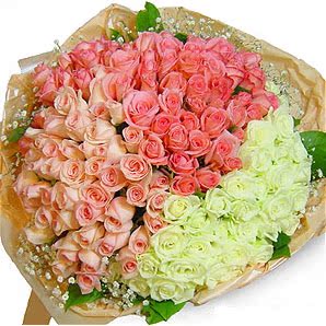 送给玫瑰、红豆的鲜花