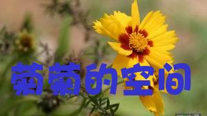 С�յĲ���
