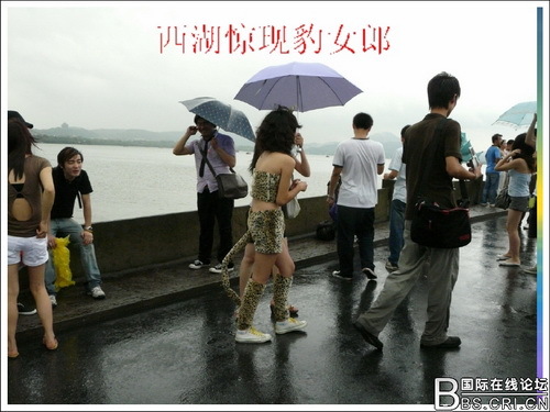 <em>黑社会</em>的<em>大姐大</em>-<em>图片照片</em> - 阿里巴巴商人论坛