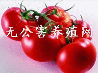 �޹�����ֳ��