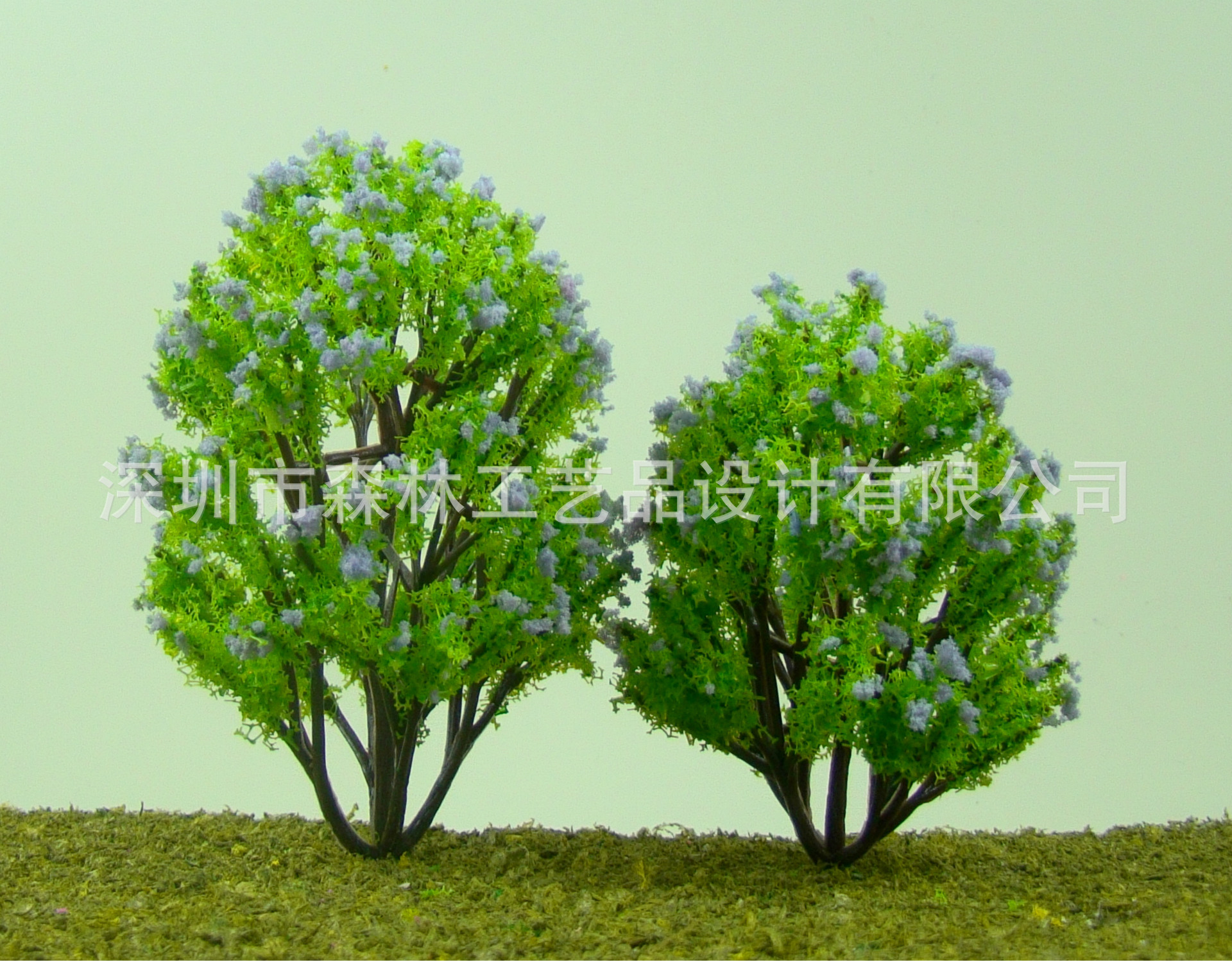 DSC04670 D6-1