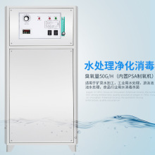 ST-817-50G氧氣源高濃度臭氧發生器泳池水處理空氣處理臭氧消毒機