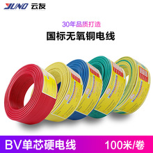 人民線纜 BV10平方國標電線電纜 絕緣家裝無氧銅芯電線單芯100米