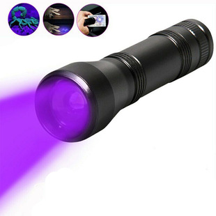 ϹͲ ɷŴUV Flashlight ڹ׷Ιzy