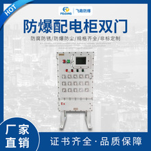 不銹鋼配電箱防爆照明動力配電櫃防爆配電櫃雙門電源檢修隔爆空箱