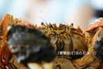 ��Ӧ���κ���բз\��բз