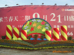 花柱,花球 花墙