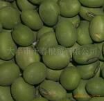 供应各类大豆 蚕豆 青豆 优质大青豆
