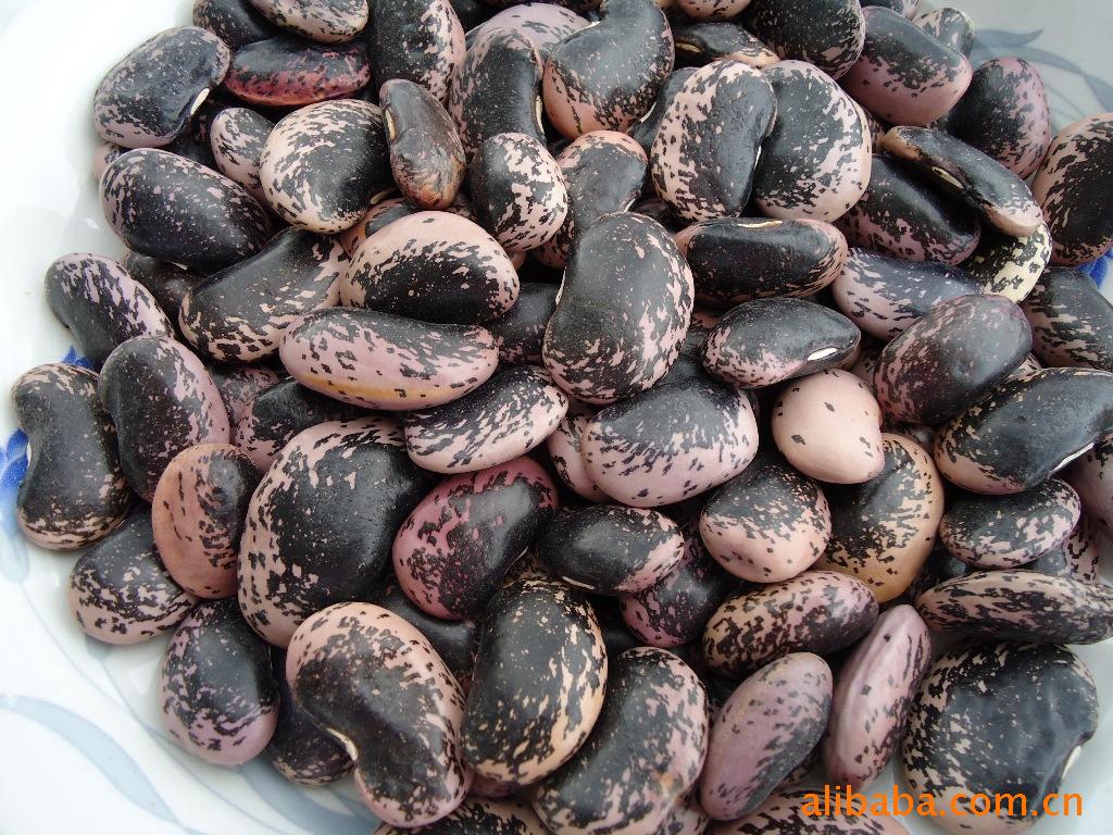 Taiwan dietary supplement database TDSD: black soybean seedcoat 黑豆種皮