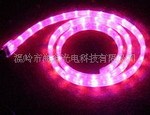 LED柔性霓虹灯带