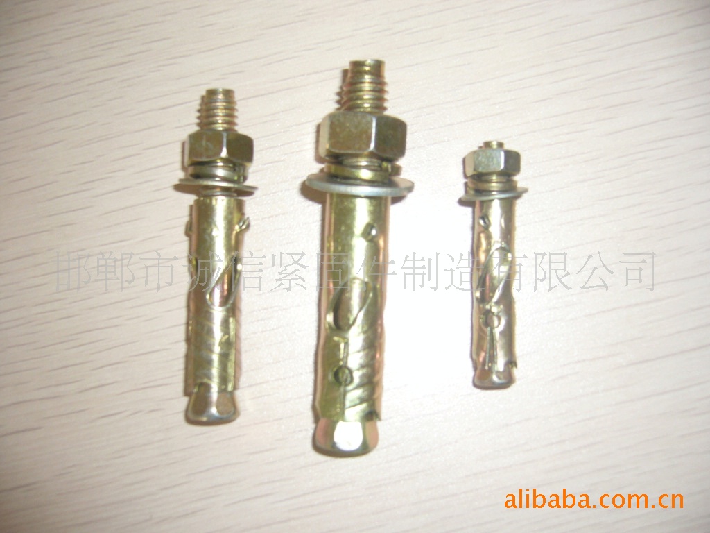 防滑鱼翅壁虎