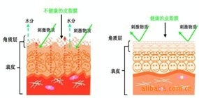 批發(fā)供應氨基酸潔面乳/洗面奶 溫和無刺激