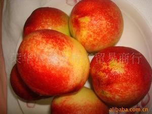 【桃子品种】桃子品种价格\/图片_桃子品种批发
