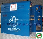 桑拿蒸气机/湿蒸机/桑拿设备/STEAMBATH