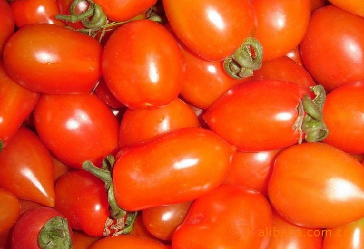 圣女果 新鲜 小金果 爱情之果-瓜果类价格及生