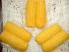 (特卖)非转基因全天然甜玉米