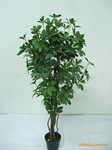 供应仿真植物,仿真花,仿真树