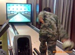 专业生产、供应、服务:模拟保龄,欢迎咨询交流!